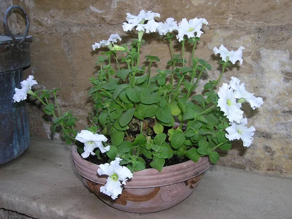 B&B Malennio Lecce Bed & Breakfast